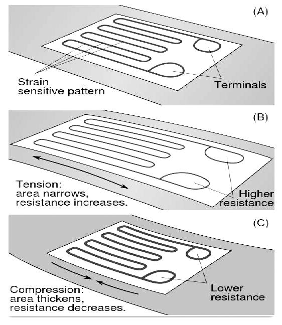 Strain Gauge